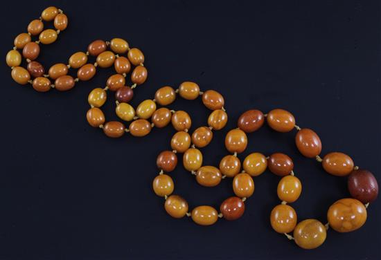 A single strand graduated oval amber bead necklace, 43in.